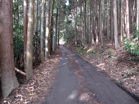 20160204hike (17)